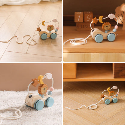 Colorful Wooden Pull Toy