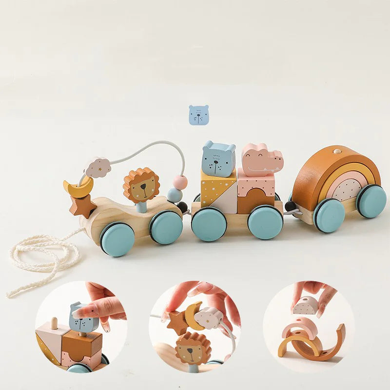 Colorful Wooden Pull Toy