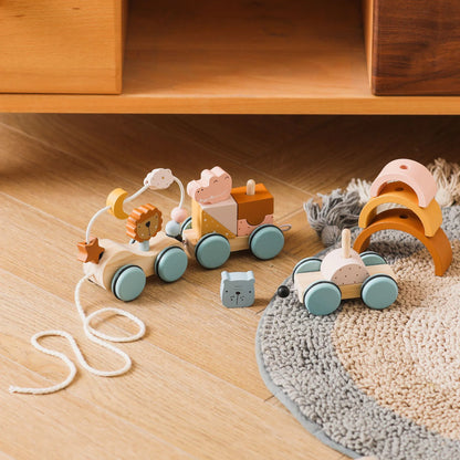 Colorful Wooden Pull Toy