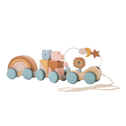 Colorful Wooden Pull Toy