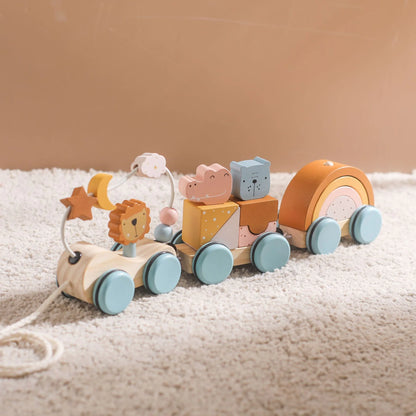 Colorful Wooden Pull Toy